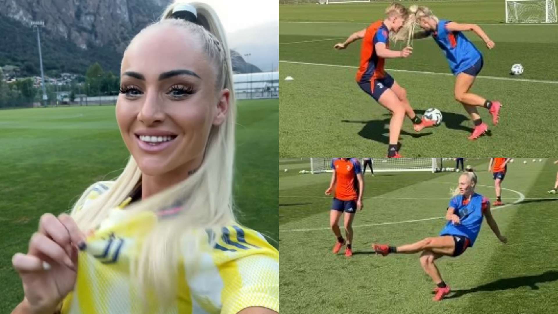 也能为新进 也能为新进