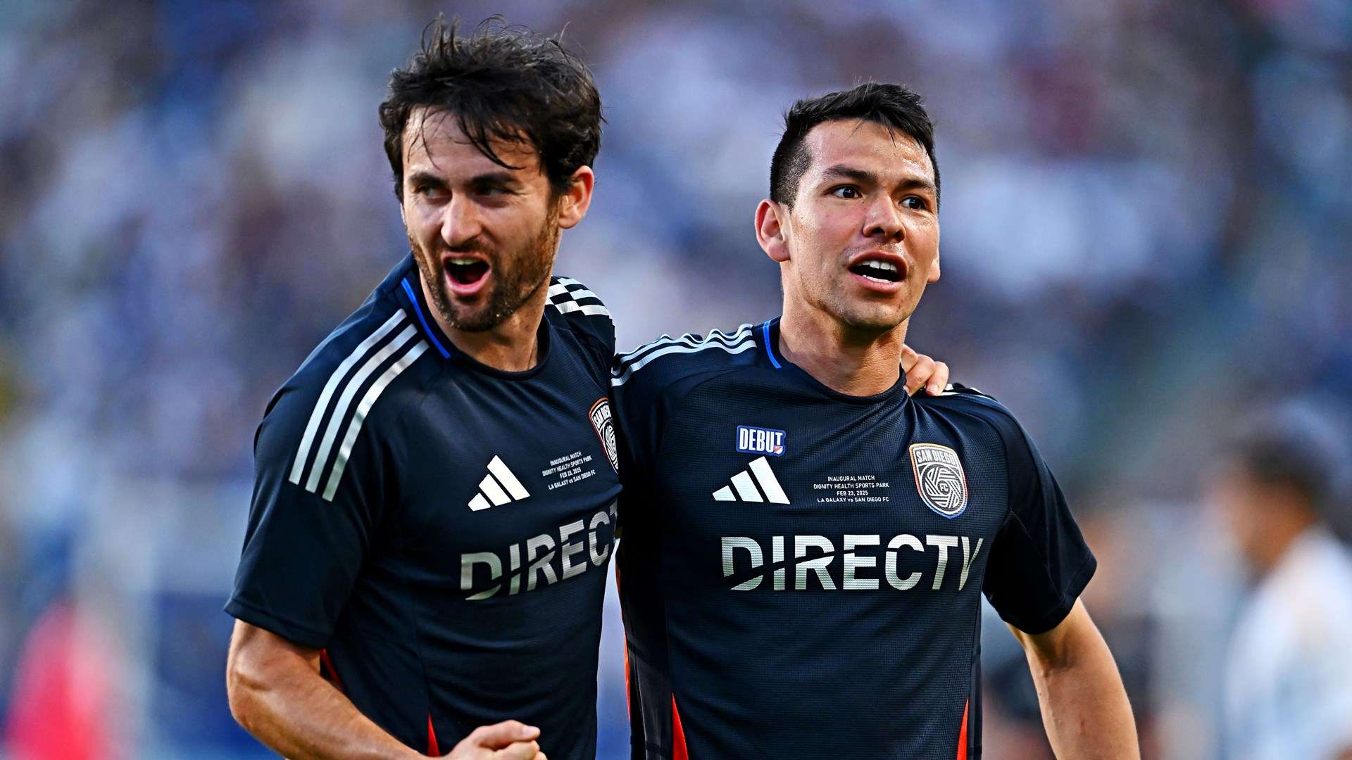 看的乐趣 看的乐趣