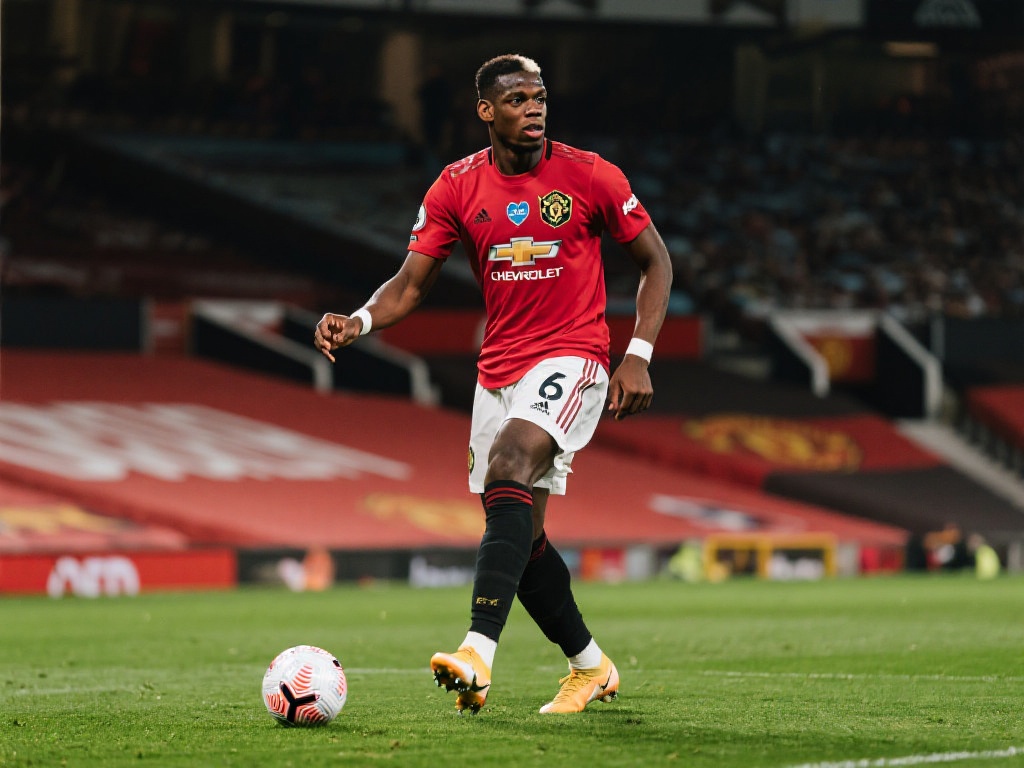 和领导力的 和领导力的